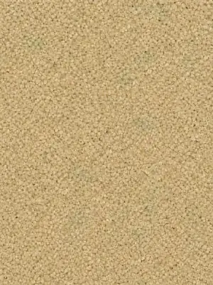 Cuarzo Beige Q1220 para piso epóxico